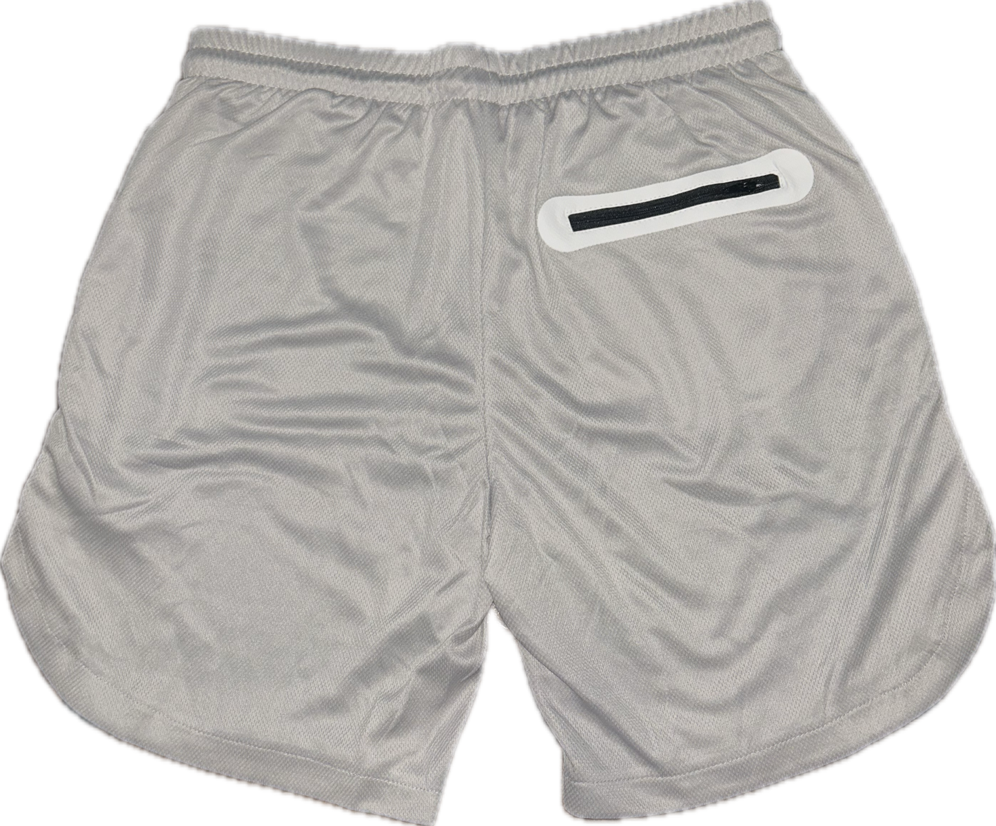 Mesh Gym Shorts 2 in 1